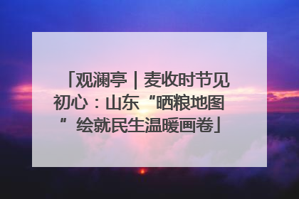 观澜亭｜麦收时节见初心：山东“晒粮地图”绘就民生温暖画卷