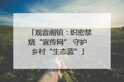 观音阁镇：织密禁烧“宣传网” 守护乡村“生态蓝”