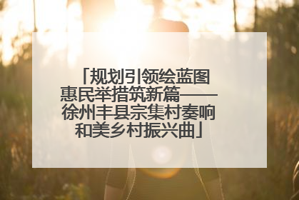 规划引领绘蓝图 惠民举措筑新篇——徐州丰县宗集村奏响和美乡村振兴曲