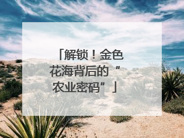 解锁！金色花海背后的“农业密码”