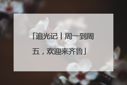 追光记丨周一到周五，欢迎来齐鲁