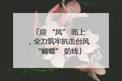 迎 “风” 而上，全力筑牢抗击台风 “蝴蝶” 防线