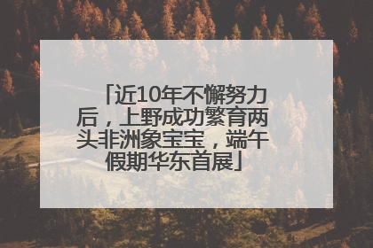 近10年不懈努力后，上野成功繁育两头非洲象宝宝，端午假期华东首展