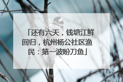 还有六天，钱塘江鲜回归，杭州杨公社区渔民：第一波盼刀鱼