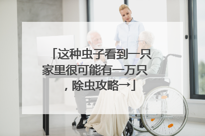 这种虫子看到一只家里很可能有一万只,除虫攻略→