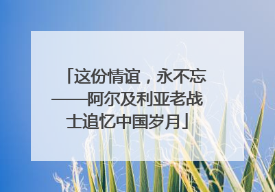 这份情谊，永不忘——阿尔及利亚老战士追忆中国岁月