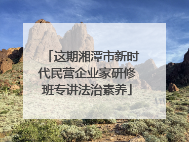 这期湘潭市新时代民营企业家研修班专讲法治素养