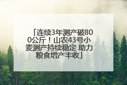 连续3年测产破800公斤！山农43号小麦测产持续稳定 助力粮食增产丰收