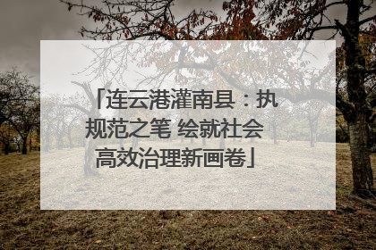 连云港灌南县：执规范之笔 绘就社会高效治理新画卷