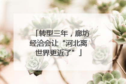 转型三年，廊坊经洽会让“河北离世界更近了”