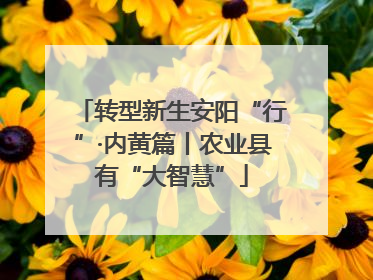 转型新生安阳“行”·内黄篇丨农业县有“大智慧”