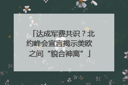 达成军费共识？北约峰会宣言揭示美欧之间“貌合神离”
