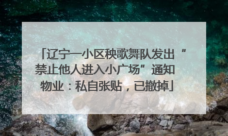 辽宁一小区秧歌舞队发出“禁止他人进入小广场”通知 物业：私自张贴，已撤掉