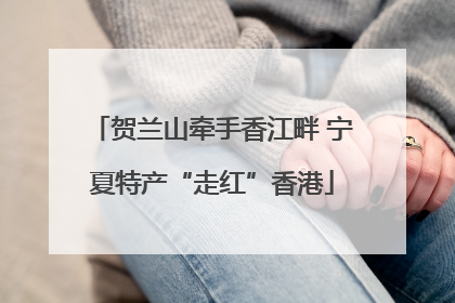 贺兰山牵手香江畔 宁夏特产“走红”香港