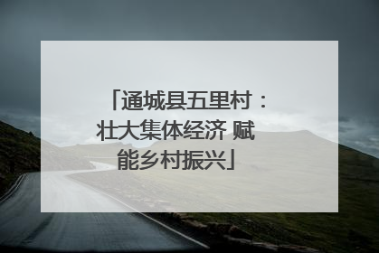 通城县五里村：壮大集体经济 赋能乡村振兴