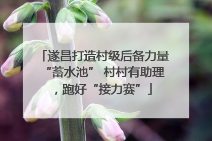 遂昌打造村级后备力量“蓄水池” 村村有助理，跑好“接力赛”