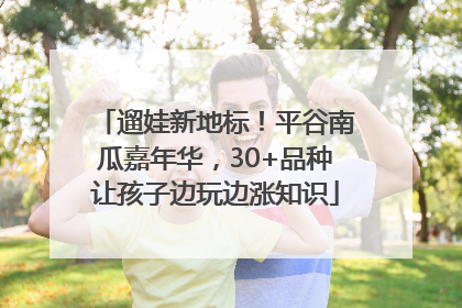 遛娃新地标！平谷南瓜嘉年华，30+品种让孩子边玩边涨知识