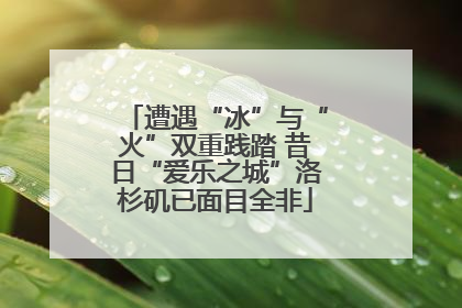 遭遇“冰”与“火”双重践踏 昔日“爱乐之城”洛杉矶已面目全非