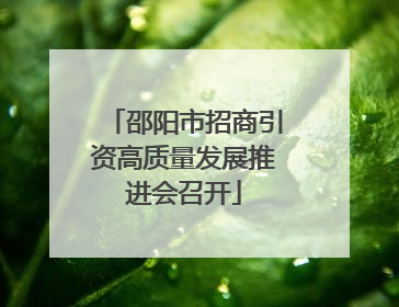 邵阳市招商引资高质量发展推进会召开
