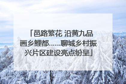 邑路繁花 沿黄九品 画乡鲤都……聊城乡村振兴片区建设亮点纷呈