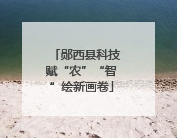 郧西县科技赋“农”“智”绘新画卷
