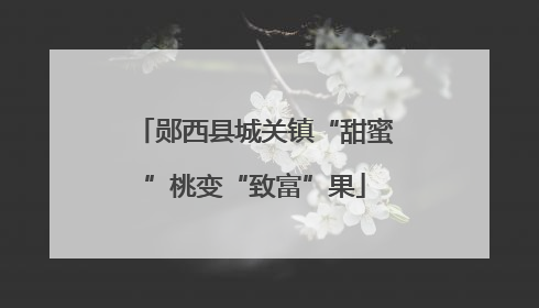 郧西县城关镇“甜蜜”桃变“致富”果