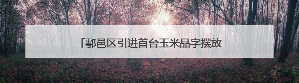 鄠邑区引进首台玉米品字摆放气吹播种机助力夏播提质增速