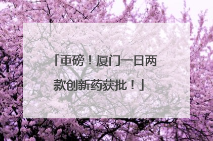 重磅！厦门一日两款创新药获批！