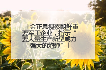 金正恩视察朝鲜重要军工企业，指示“要大量生产新型威力强大的炮弹”