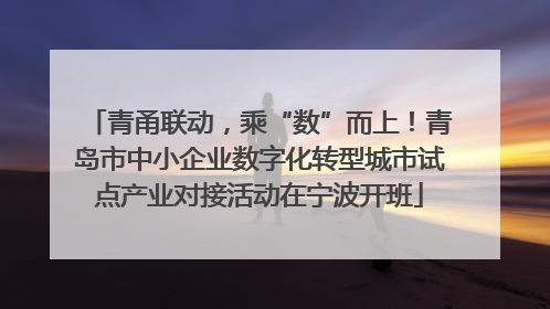 青甬联动，乘“数”而上！青岛市中小企业数字化转型城市试点产业对接活动在宁波开班