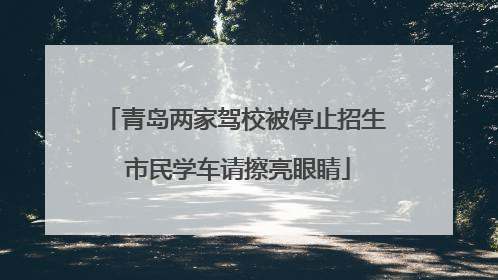 青岛两家驾校被停止招生 市民学车请擦亮眼睛