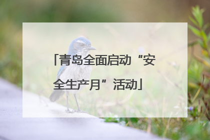 青岛全面启动“安全生产月”活动