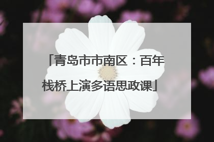 青岛市市南区：百年栈桥上演多语思政课