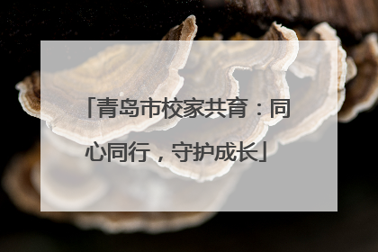 青岛市校家共育：同心同行，守护成长