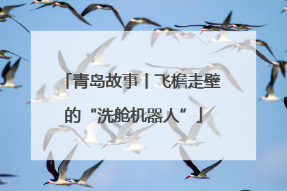 青岛故事丨飞檐走壁的“洗舱机器人”