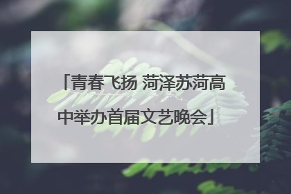 青春飞扬 菏泽苏菏高中举办首届文艺晚会