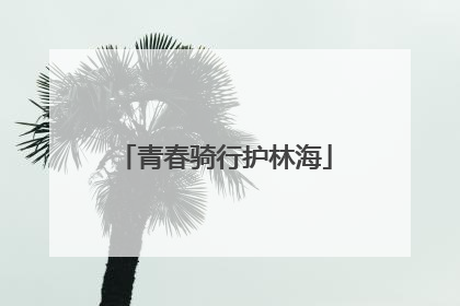 青春骑行护林海