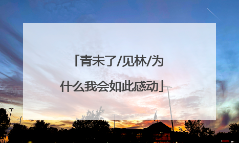 青未了/见林/为什么我会如此感动