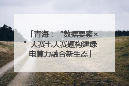 青海：“数据要素×”大赛七大赛题构建绿电算力融合新生态