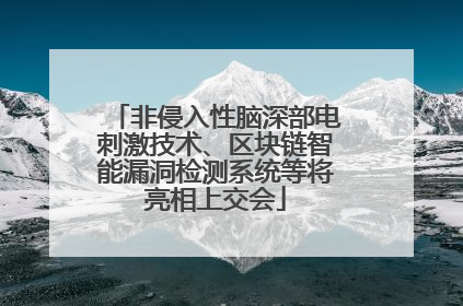 非侵入性脑深部电刺激技术、区块链智能漏洞检测系统等将亮相上交会