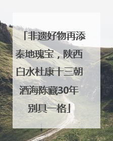 非遗好物再添秦地瑰宝，陕西白水杜康十三朝酒海陈藏30年别具一格