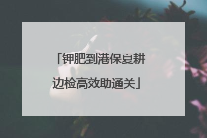 钾肥到港保夏耕 边检高效助通关