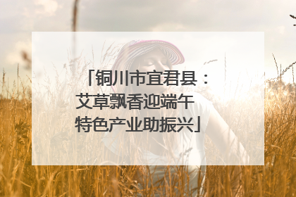铜川市宜君县：艾草飘香迎端午 特色产业助振兴