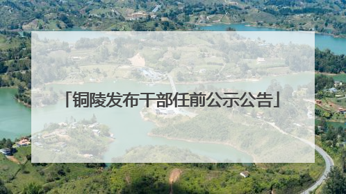 铜陵发布干部任前公示公告