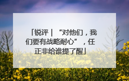 锐评｜“对他们，我们要有战略耐心”，任正非给谁提了醒
