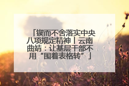 锲而不舍落实中央八项规定精神丨云南曲靖：让基层干部不用“围着表格转”