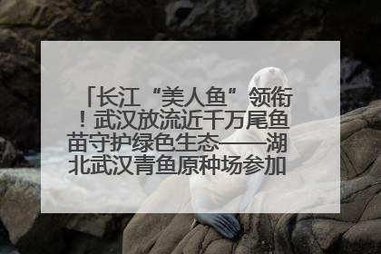 长江“美人鱼”领衔！武汉放流近千万尾鱼苗守护绿色生态——湖北武汉青鱼原种场参加2025年“全国放鱼日”增殖放流活动