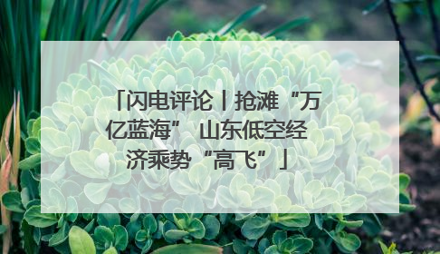闪电评论丨抢滩“万亿蓝海” 山东低空经济乘势“高飞”
