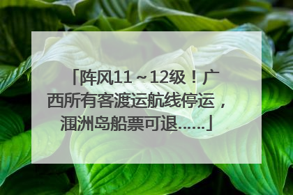 阵风11～12级！广西所有客渡运航线停运，涠洲岛船票可退……