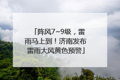 阵风7~9级，雷雨马上到！济南发布雷雨大风黄色预警